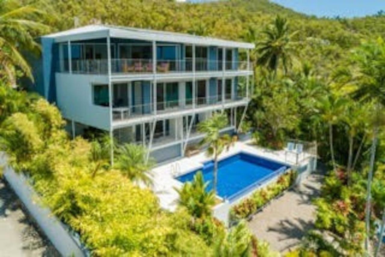 Baybliss Apartments Studio 1 Shute Harbour Zewnętrze zdjęcie