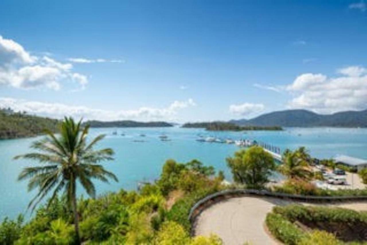 Baybliss Apartments Studio 1 Shute Harbour Zewnętrze zdjęcie