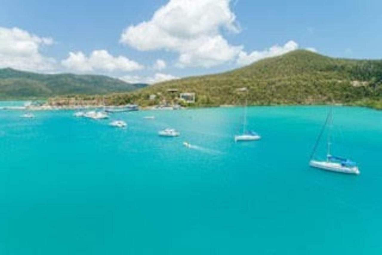 Baybliss Apartments Studio 1 Shute Harbour Zewnętrze zdjęcie