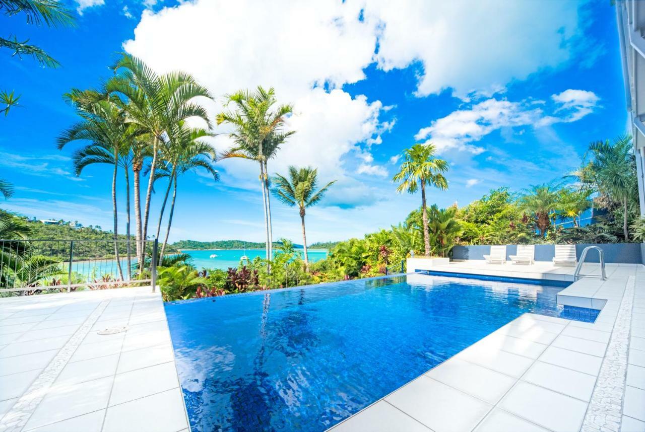 Baybliss Apartments Studio 1 Shute Harbour Zewnętrze zdjęcie