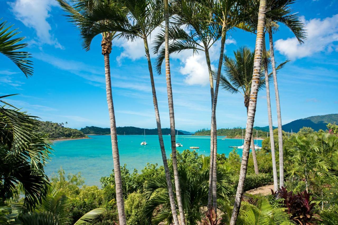 Baybliss Apartments Studio 1 Shute Harbour Zewnętrze zdjęcie